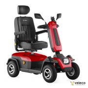 SHARPY RED 03.jpg
