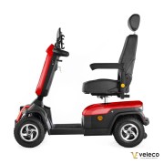 SHARPY RED 08.jpg